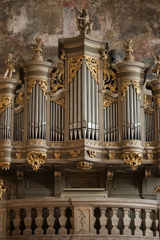 Budapest: Concert on the Oldest Working Organ in the City - Price and value: $24 for live organ, not a museum lecture