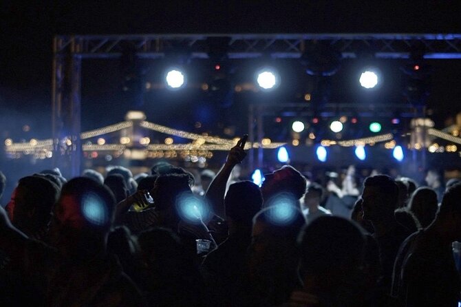 Budapest Danube Cruise with DJ, Drinks and After Party - On the cruise: what the night feels like