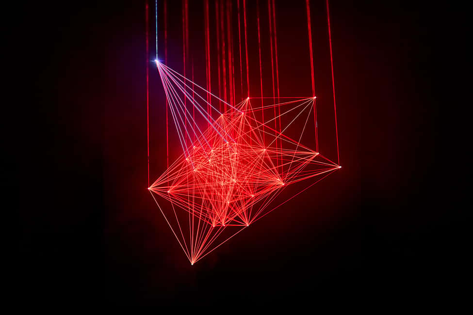 Budapest: Light Art Museum - Immersive New Media Experience - Key things I’d prioritize before you go