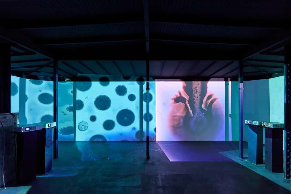 Budapest: Light Art Museum - Immersive New Media Experience - Art History Nerds: Moholy-Nagy and Vasarely Through Light