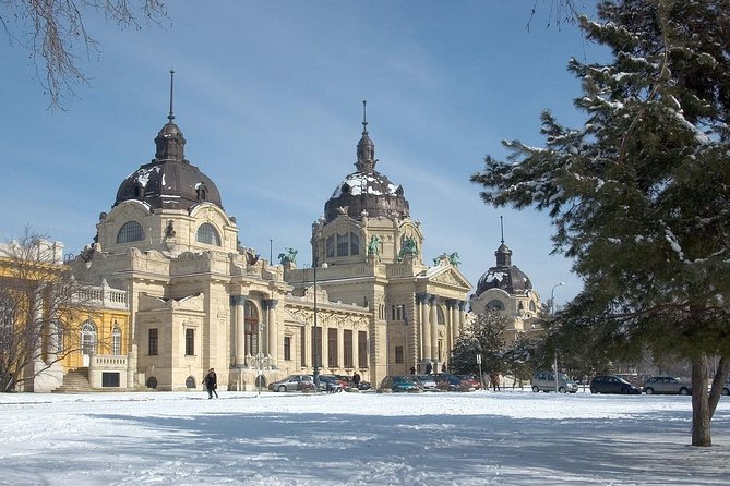 Budapest Széchenyi Spa with Danube Cruise and Optional Dinner - Final call: book this combo or do it separately?