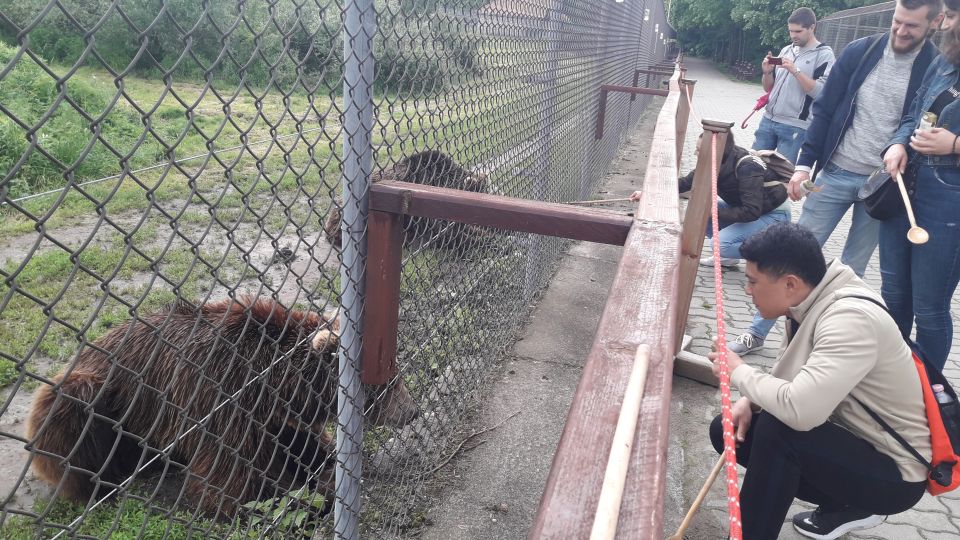 Budapest: Transport & Guided Tour of Bear and Wolf Sanctuary - Key highlights you’ll remember