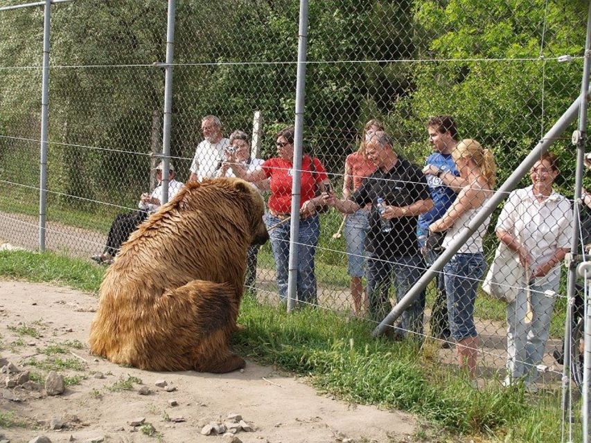 Budapest: Transport & Guided Tour of Bear and Wolf Sanctuary - Getting to Batthyány tér: your start line by the Danube
