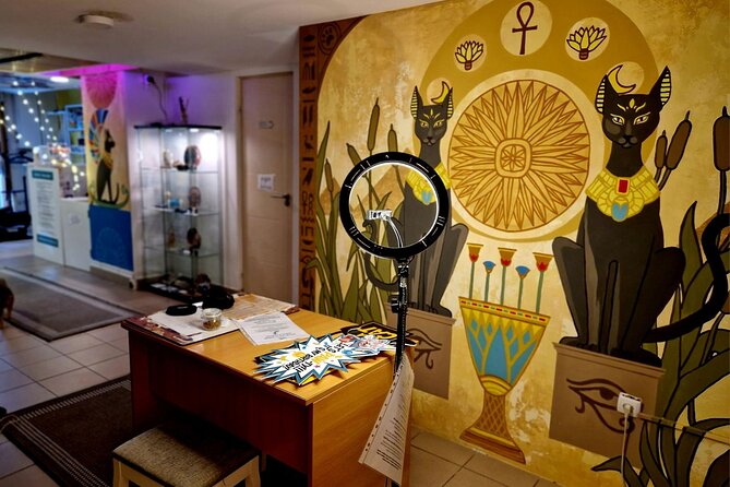 Cat Museum Budapest Entry Ticket - Upstairs: the Jungle Room with movies and a tablet quiz