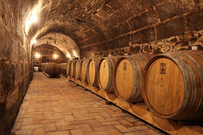 Countryside Half-day Gastro-Wine Tour from Budapest Meal & pickup - Etyek-Buda Wines: The Half-Day Shortcut That Feels Like a Full Getaway