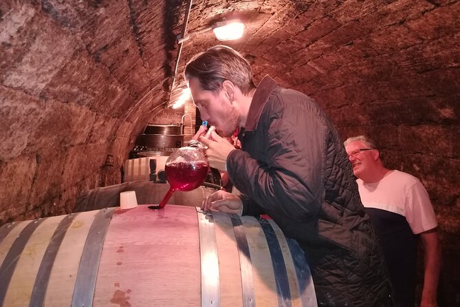 Countryside Half-day Gastro-Wine Tour from Budapest Meal & pickup - The Food Pairing: Hungarian Classics That Make the Wine Tasting Feel Real