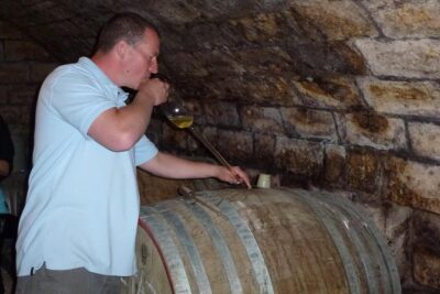 Countryside Half-day Gastro-Wine Tour from Budapest Meal & pickup - The Winery Stops: What You Actually Do at Each Estate