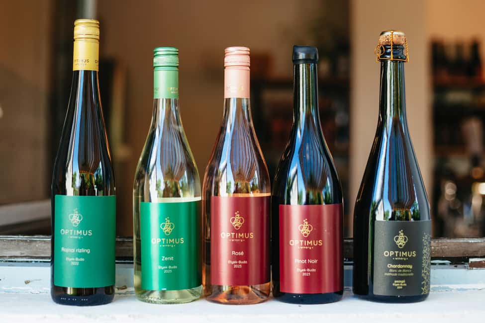 From Budapest: Etyek Wine Tasting Tour with 3-Course Meal - Around Etyek village: you’re there to learn, not just to pose