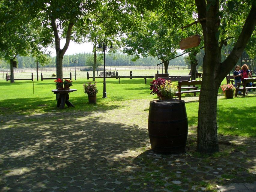 From Budapest: Full-Day Puszta Tour with Lunch and Show - Budapest to Puszta: The Point of This Horse-Centric Day