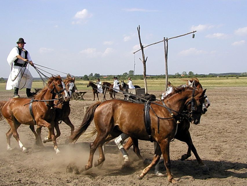 From Budapest: Full-Day Puszta Tour with Lunch and Show - 3-Course Hungarian Lunch With Wine: More Than a Check-the-Box Meal