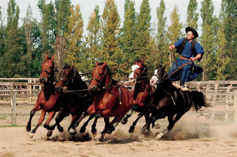 From Budapest: Full-Day Puszta Tour with Lunch and Show - Lajosmizse Ranch Arrival: Pálinka, Stables, and Carriage Time