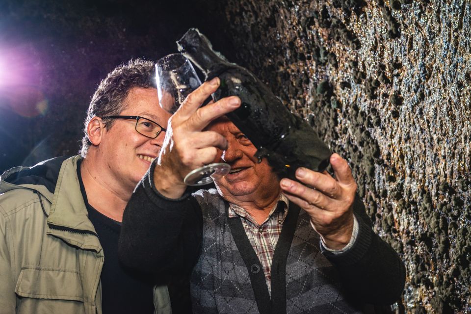 From Budapest: Mátra Hills Wine Tour - Meeting the Hungarian Winemaker of the Year: More Than a Photo Stop