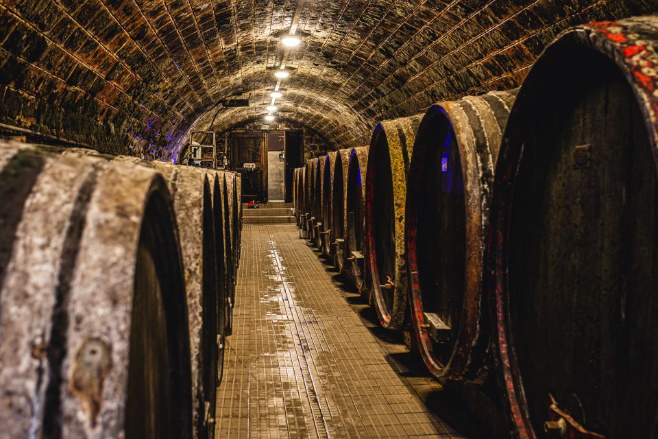 From Budapest: Mátra Hills Wine Tour - Snacks and Pairing: Meat, Cheese, and Olives That Keep It Civil
