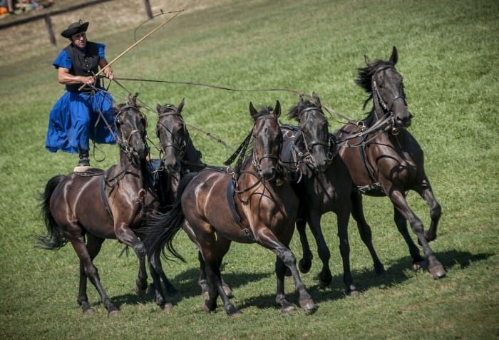 From Budapest: Puszta Horse Show and Countryside Visit - Leaving Budapest: the bus ride that sets the tone for the day