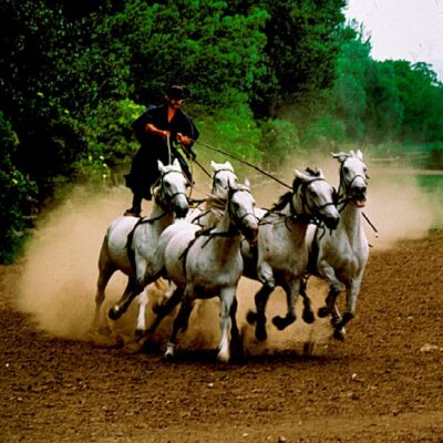 From Budapest: Puszta Horse Show and Countryside Visit - Kecskemét: the short guided town walk that feels like a palate reset