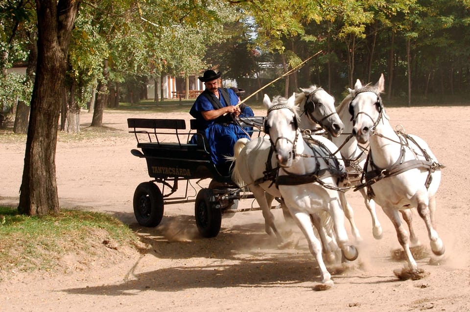 From Budapest: Puszta Horse Show and Countryside Visit - The Puszta horse show: what to watch for (and what to watch out for)