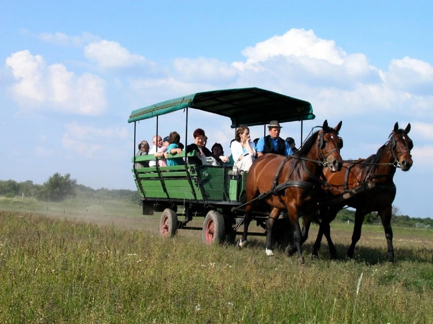 From Budapest: Puszta Horse Show and Countryside Visit - Horse-carriage ride and scenic drive: the slower Hungary moment