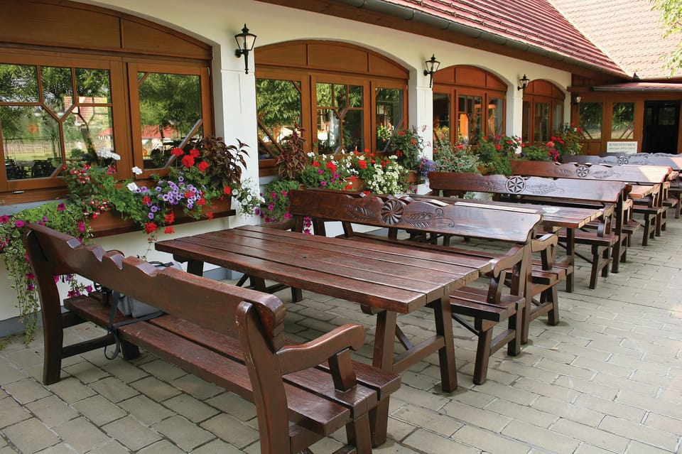 From Budapest: Puszta Horse Show and Countryside Visit - Palinka tasting: a small step into Hungarian taste culture