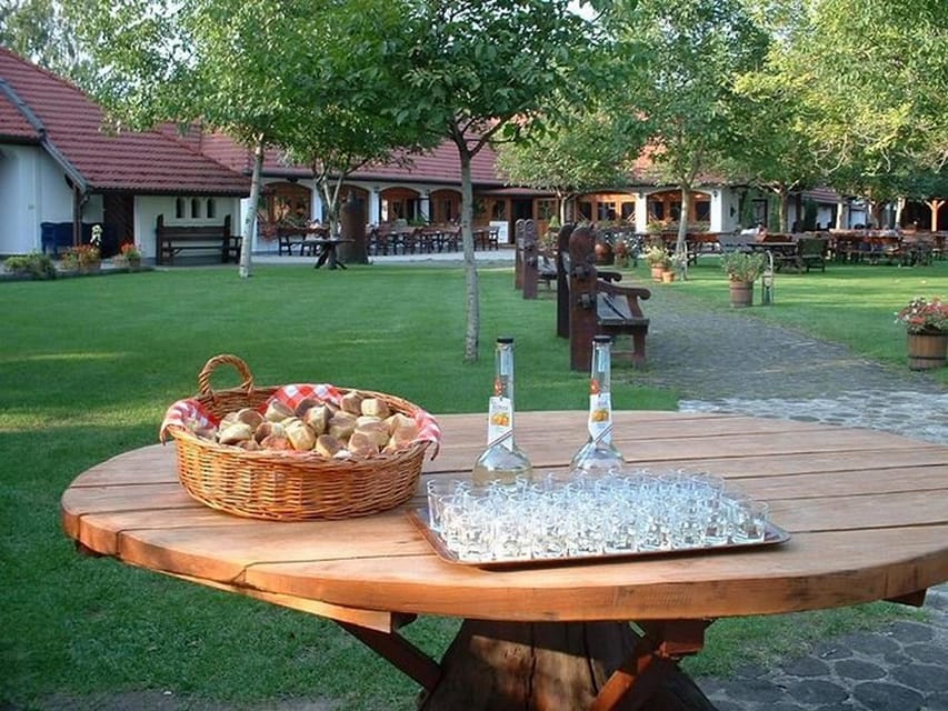 From Budapest: Puszta Horse Show and Countryside Visit - Logistics that can affect your day (and how to stay comfortable)