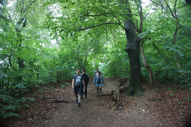 Hiking in Budapest - Buda hills on foot: forest trails and route confidence