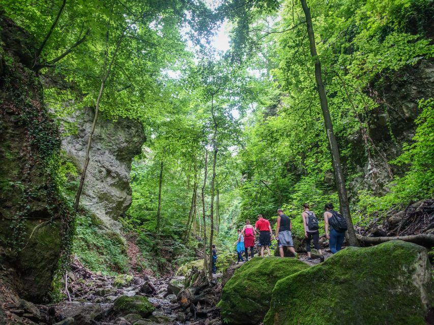 One Day Wonder Hike - The Essence of the Danube Bend - Visegrád Castle Ticket: A Short Culture Break in the Middle of Nature