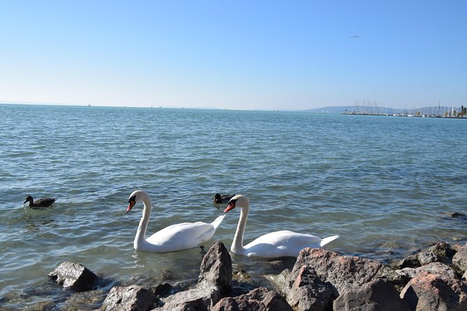 Private Lake Balaton Experience with an unforgettable Wine Tasting - How the 10-hour schedule really helps you (and where it can feel tight)