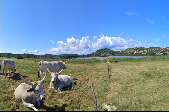 Private tour from Budapest to a top hidden treasure region of Europe: Lake Balaton - Price and Value: What Your $265.49 Actually Buys