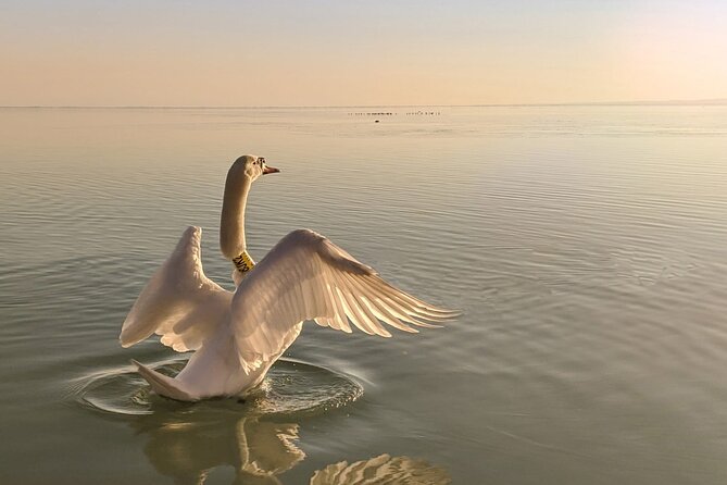Private tour from Budapest to a top hidden treasure region of Europe: Lake Balaton - Bencés Apátság (Benedictine Abbey): Baroque Views and an Optional 8 Euro Ticket