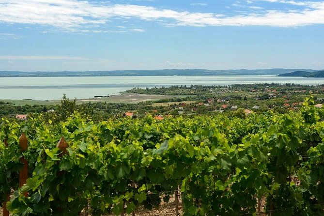 Private tour from Budapest to a top hidden treasure region of Europe: Lake Balaton - Lake Balaton Photo Moments in Autumn: When October Hits
